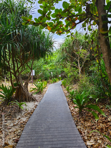 road to get to maya bay