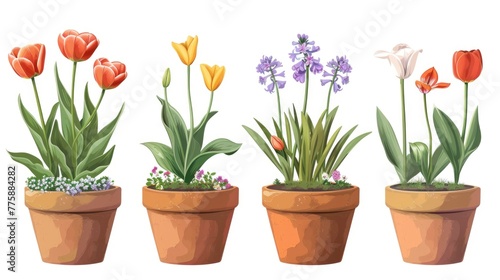 Four flower pots with colorful flowers, perfect for gardening projects