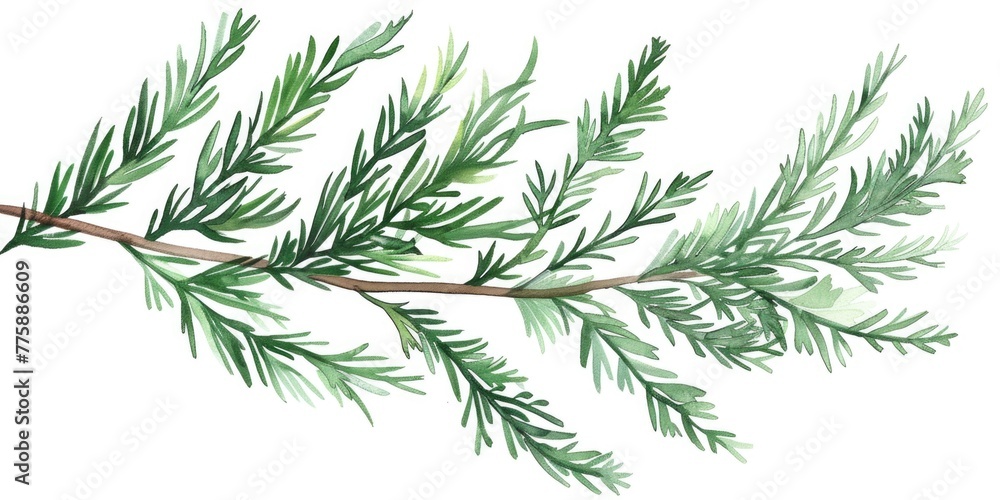 A beautiful watercolor painting of a tree branch. Perfect for nature-themed designs A beautiful watercolor painting of a tree branch. Perfect for nature-themed designs