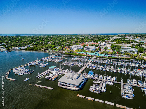 Photography palmetto, florida