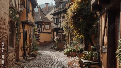 A picturesque cobblestone street in a charming European village. Perfect for travel brochures or historical articles