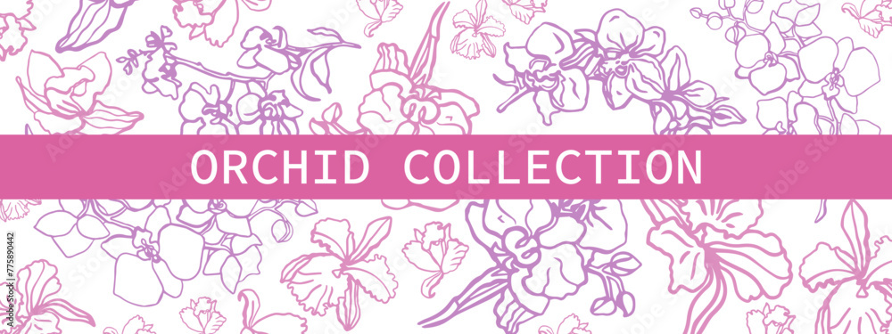 Isolated hand drawn vector orchid flowers.Outline sketch.Pink and purple orchid flower branch with buds and flowers. Romantic. Floral banner.	
