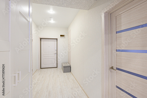 standard room interior apartment. room doors, renovation corridor lobby entrance hall