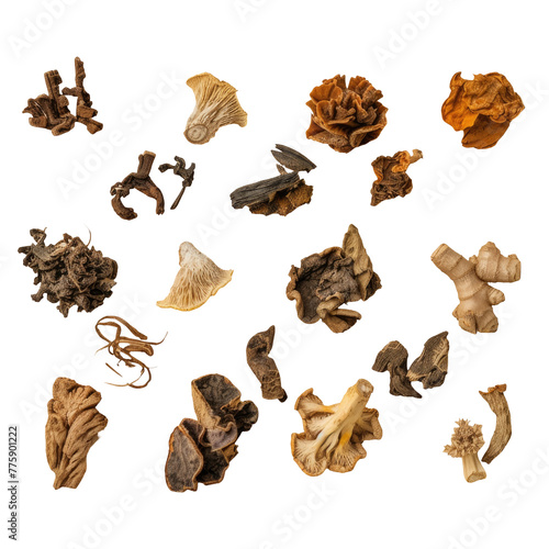 Close-up of assorted mushrooms on a Transparent Background photo