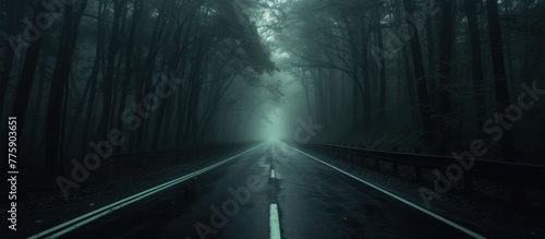 Road in dark foggy forest. Loneliness and sadness concept