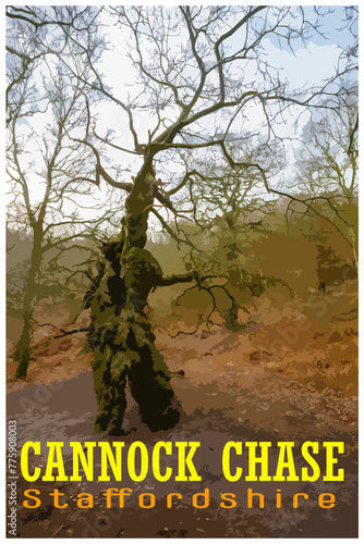 WPA inspired retro travel poster of Cannock Chase, Staffordshire, UK. photo