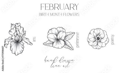 February Birth Month Flowers. Iris outline isolated on white. Primrose, Pansy Line Art. Hand drawn line art botanical illustration. Black and White Flowers