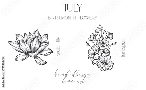 July Birth Month Flowers. Water Lily outline isolated on white. Larkspur Line Art. Hand drawn line art botanical illustration. Black and White Flowers