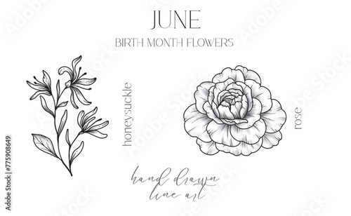 July Birth Month Flowers. Water Lily outline isolated on white. Larkspur Line Art. Hand drawn line art botanical illustration. Black and White Flowers