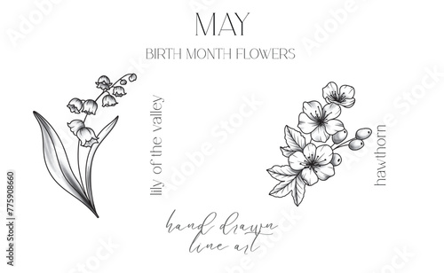 May Birth Month Flowers. Lily of the valley outline isolated on white. Cherry Blossom Line Art. Hand drawn line art botanical illustration. Black and White Flowers