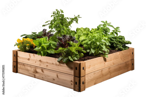Lush Oasis: Wooden Garden Box Overflowing With Verdant Plants.