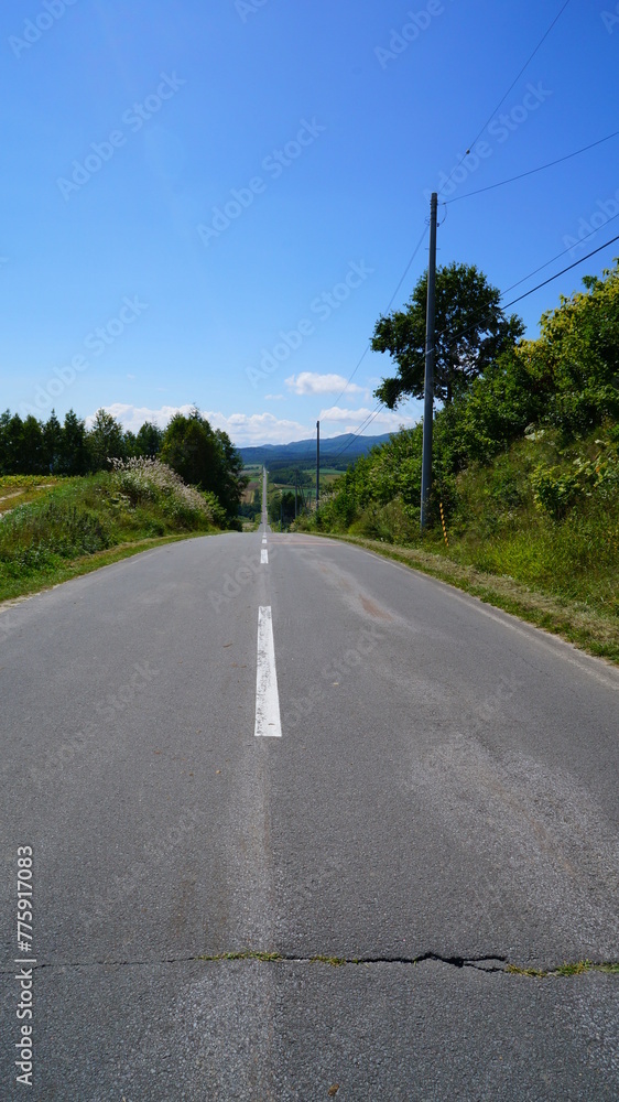 ジェットコースターの路 ジェットコースターの路