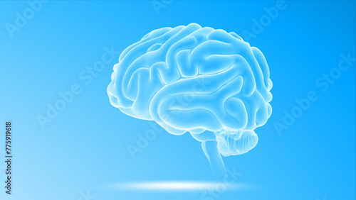 Human Organ Brain 3d illustration