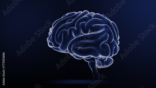 Human Organ Brain 3d illustration