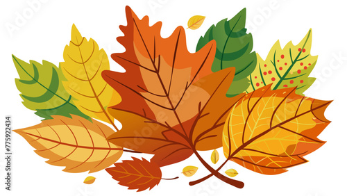 autumn leaves collection vector illustration