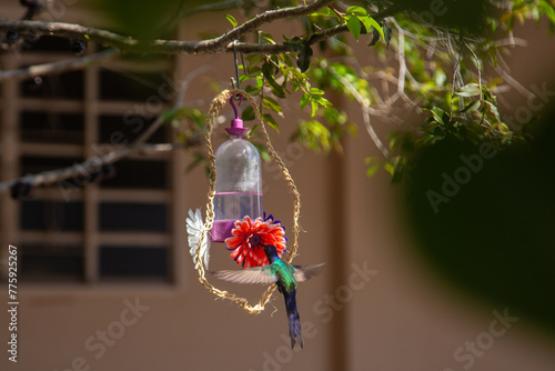 Um beija-flor bebendo água em bebedouro decorado com flores artificiais. photo