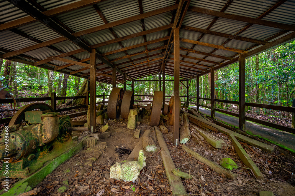 Fototapeta premium Historic Sawmill in Springbrook National Park, Queensland, Australia