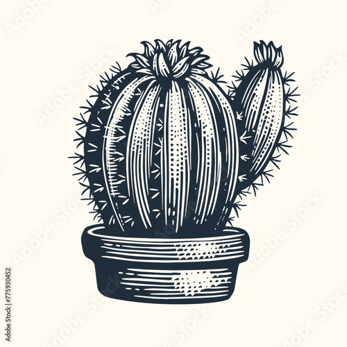 Cactus. Vintage woodcut engraving style vector illustration.