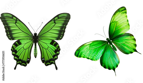 Set of green butterflies on a transparent background.