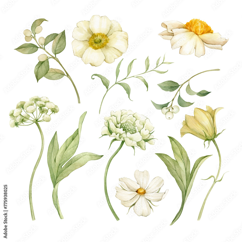 Set of watercolor flowers and botanical elements. All elements are hand-drawn with watercolors and isolated.