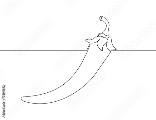 Chili pepper in continuous line vector. Hot pepper, cayenne, habanero in one line art of vegetable