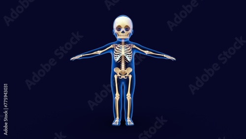 Child Body with skeletal system 3d illustration