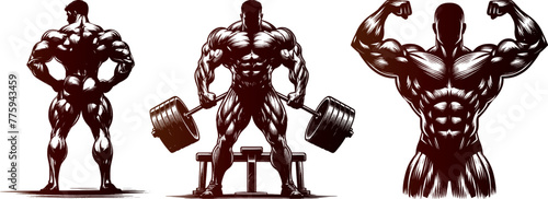 Gym bodybuilder Set Engraving Pen and Ink Vector Illustration
