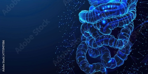 Detailed illustration of the human stomach. Perfect for medical textbooks or educational websites