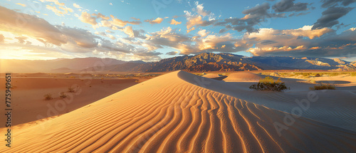 a serene desert landscape at sunrise  showcasing the play of light and shadows on the sand dunes