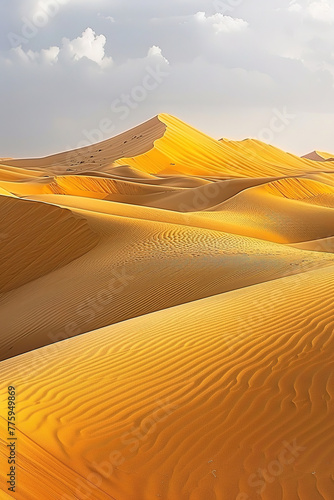 a serene desert landscape at sunrise, showcasing the play of light and shadows on the sand dunes