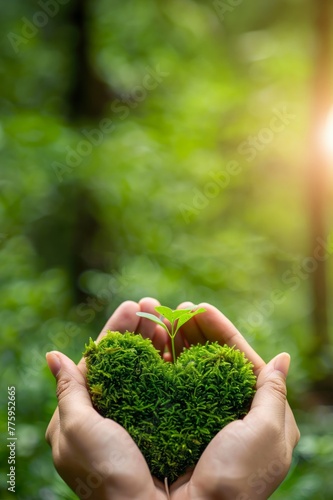 A person tenderly holds a growing plant in the shape of a heart symbolizing love and care for the environment, Environmental conservation, Green living, Sustainable lifestyle