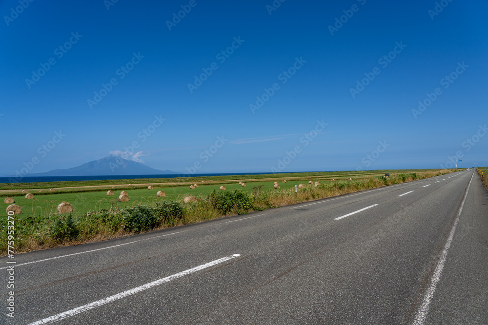 Fototapeta premium 夏のサロベツ原野