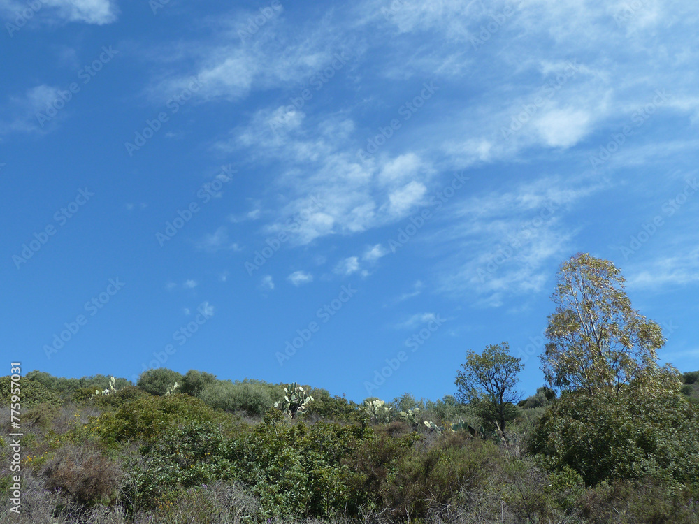 Obraz premium Paesaggio