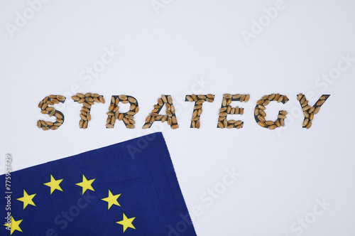 The word Strategy. Wheat. Grain. Agricultural policies EU. European Union flag.