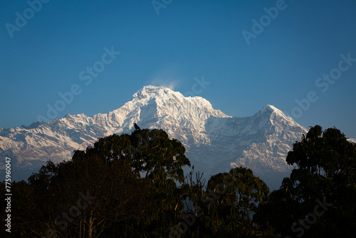 snow covered mountains