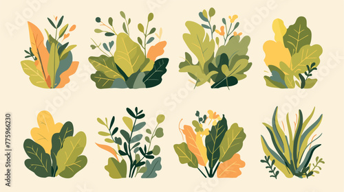 Set of leaf plant illustration 2d flat cartoon vact © iclute