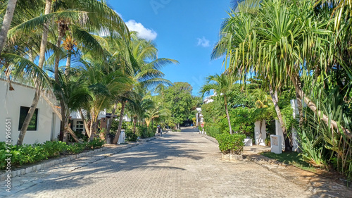 Playacar street view in the daytime photo