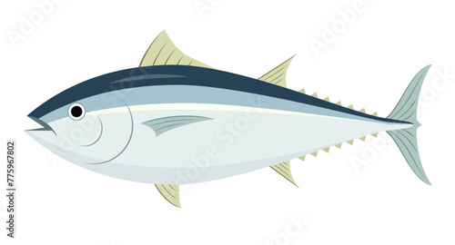 マグロ・クロマグロのイラスト