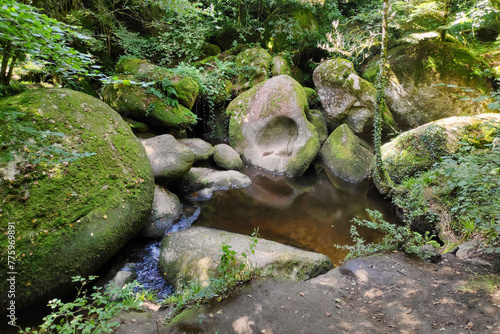 The Blockfield of the forest of Huelgoat photo