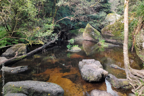 The Fairies' pond in the Huelgoat forest photo