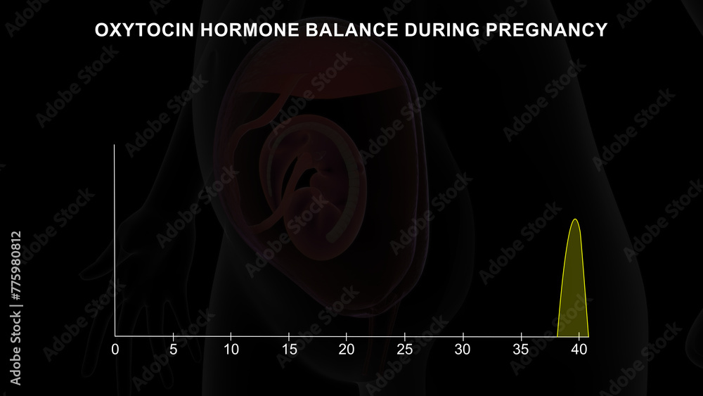 Oxytocin hormone balance during pregnancy graph 3d illustration - obrazy, fototapety, plakaty 