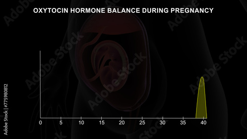 Oxytocin hormone balance during pregnancy graph 3d illustration photo