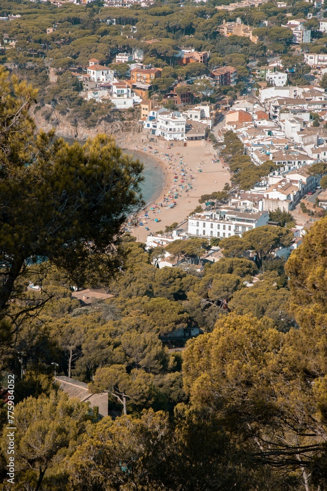 Vertical view of a city by a coastline