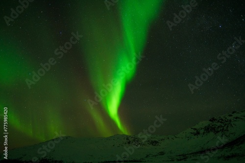 Beautiful shot of bright green aurora northern lights over mountains in Norway