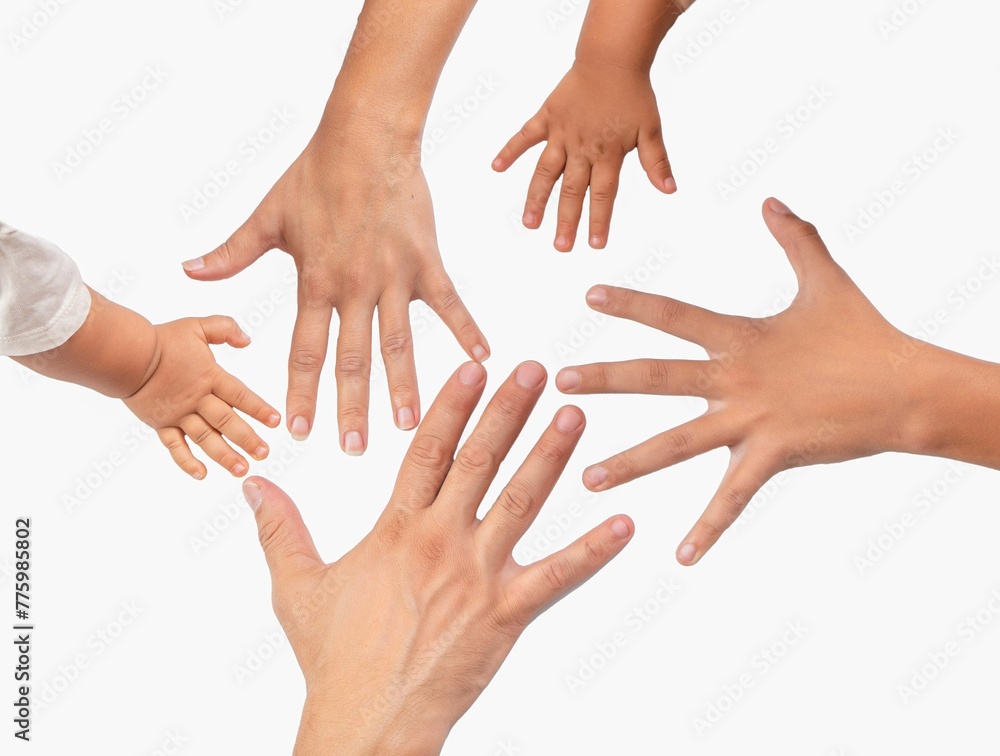 Hands of family members on a white background - the concept of family