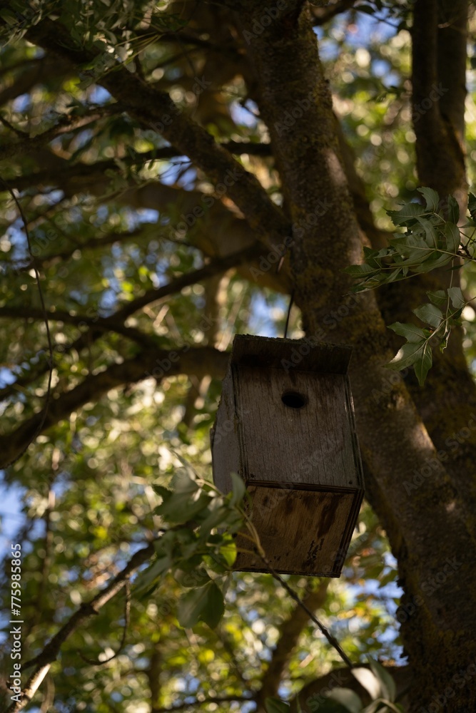 Vertical closeup shot of an old wooden birdhouse on a tree in the park on a sunny day Vertical closeup shot of an old wooden birdhouse on a tree in the park on a sunny day