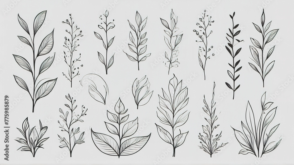 Set of hand drawn branches and leaves. Vector illustration. Elements for design.