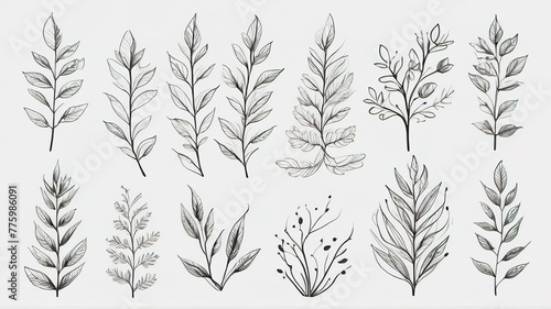 Hand drawn set of leaves and branches. Vector botanical illustration.