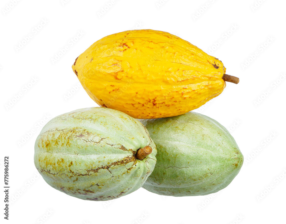 Cocoa isolated on white background Cocoa isolated on white background
