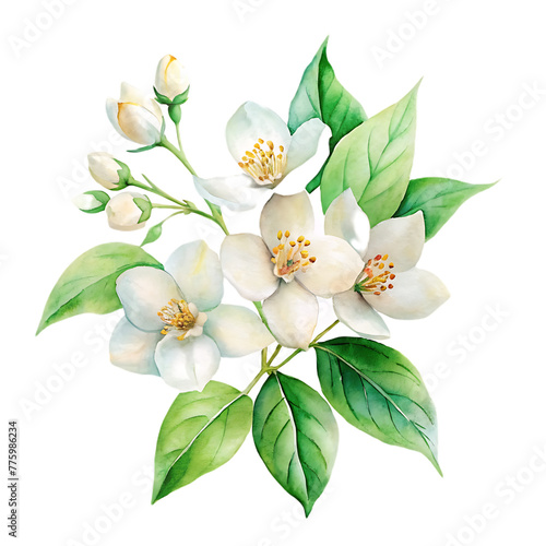 Wallpaper Mural a picture of a flower with the words Torontodigital.ca